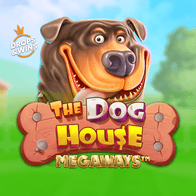 The Dog House Megaways game screenshot